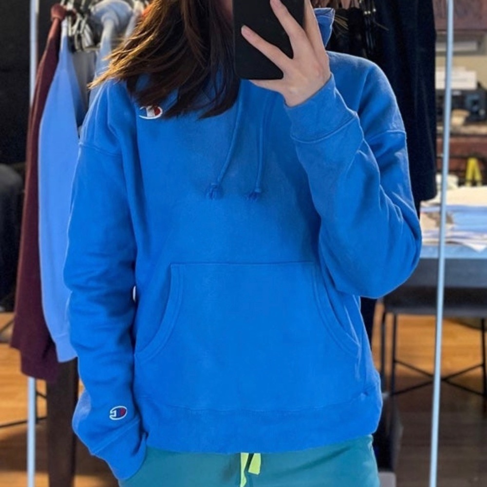 Champion Reverse Weave Pullover Hoodie “Surf the Web” (Size L)